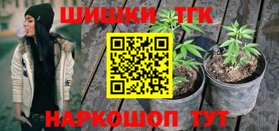 гашик Ливны