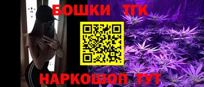 дмт Аша
