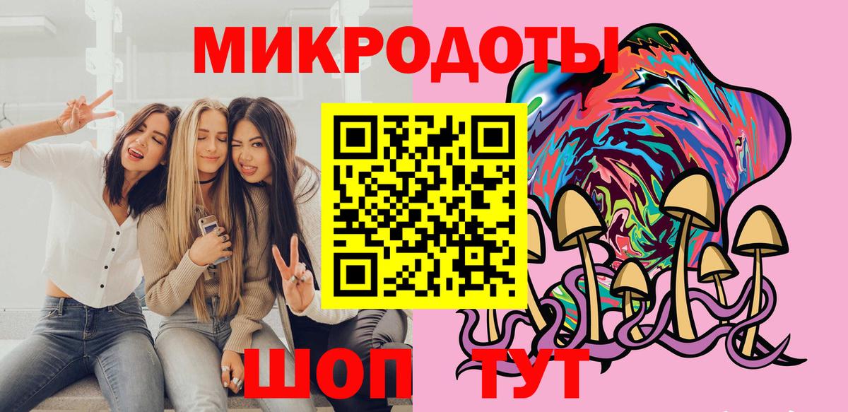 Псилоцибиновые грибы Psilocybe Джанкой
